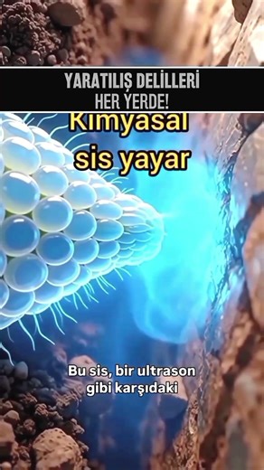 Bitkilerin Gizli dünyası: Köklerin görünmez gücü! #bitkiler #bilim