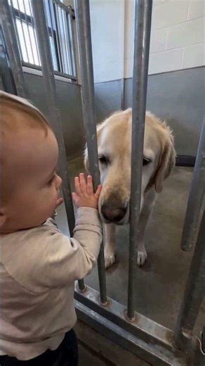 The Adoption Story That's Breaking Hearts