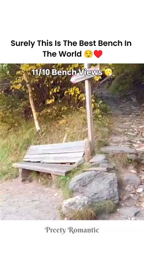 This Bench Comes With the Best View in the World😌💚 #BestViewEver #SlowDownLife #MindfulLiving #QuietJoy #FeelGoodVibes