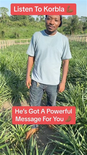 8.4K views · 126 reactions | Join the revolution to be a pioneer in livestock farming in Africa. Semanhyia grass is the solution to your feed problems #farminginafrica #semanhyiagrassseeds #eastafrica #uganda #nigeriantiktok #agrostore #innovation #ghanatiktok | Farming In Africa | Facebook