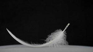 Gentle White Feather Falling Slowly On Stock Footage Video (100% Royalty-free) 1054743023 | Shutterstock