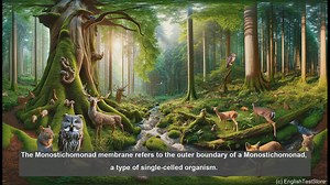 Monostichomonad membrane in biology