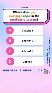 Where does gas exchange occur in the respiratory system? * * * #nurses #doctors #nursing #medical #nurseexam #NCLEX #nclexreview #nclexrn #registerednurse #medicaldoctor #medicine #studentlife #exam #exampreparation #nclexprep #nursingstudent #medicalstudent #RN #NMC #NGN #PNLE #NLE #USRN #RN #rnlife #nursinglife #fbreels #fypシ゚ @followers @topfans @highlight @everyone | Nursing Reference Cards