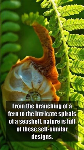 Decoding Reality: The Universe's Fractal Blueprint?