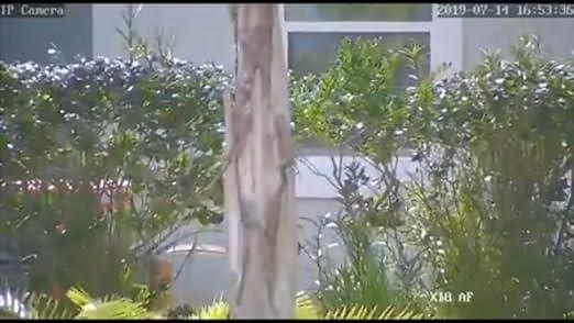 SV3C 18X Optical Zoom Outdoor PTZ security camera