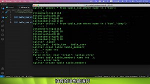 SQL入门13 IIN操作符：WHERE子句中的多值筛选