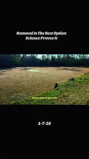 Effective Aquatic Vegetation Removal for Healthier Waterways