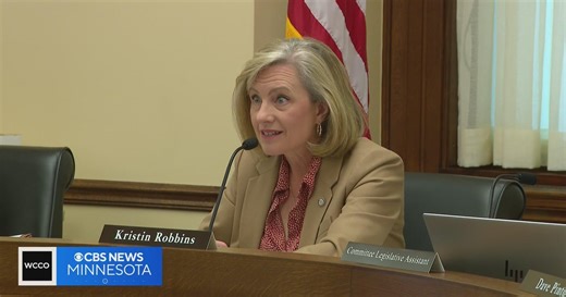 Voter fraud committee hearing reveals how election workers uncovered a scheme