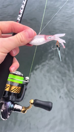 Catch Amberjack on Light Tackle: Tips and Tricks