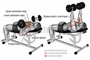 Incline reverse-grip dumbbell bench press exercise instructions and video