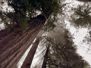 Amanda Righetti on Instagram: "🚂 Merry Christmas 💫🎄"