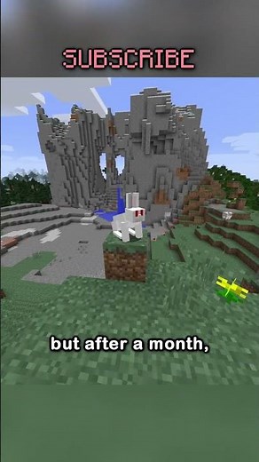 The Killer Bunny Is Back???