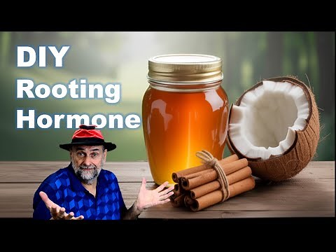 Best Homemade Rooting Hormone for Cuttings