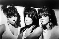 Exposé: Best songs, Albums and Concerts - Mozaart