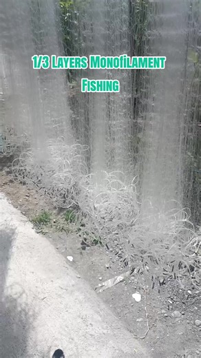 3-Layer Monofilament Fishing Techniques for Big Fish