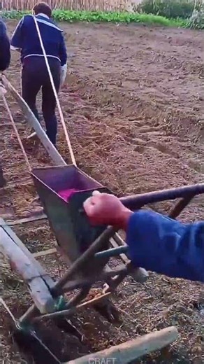 Fun DIY Project: Making a Homemade Corn Seeder