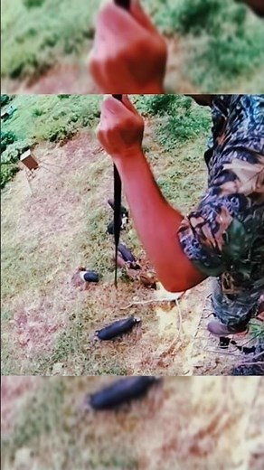 Wild Boar Hunting in Jungle with Spear | Shocking Primitive Hunt #WildBoar #SpearHunting #प्राचीनकला