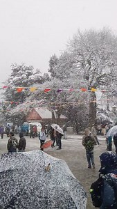 SHIMLA ❄️ . SHIMLA Shimla snowfall Shimla travels Snowflake Snowfall Himachal Snowfall update Shimla snowfall update . . . #shimla #trending #shimlamallroad #shimladiaries #reels #shimla❤️ #shimlahills #shimlacity ##shimladiaries❤️ #shimlavaasi #shimlatour #shimlatourism #shimlamanalidiaries❤️ #shimladiaries❄️ #shimlakufridiaries❄️❤️ #shimlatrip #snowfall❄️ #snowflake❄️ #shimlaridge #soniapahadisoul | Sonia Pahadisoul