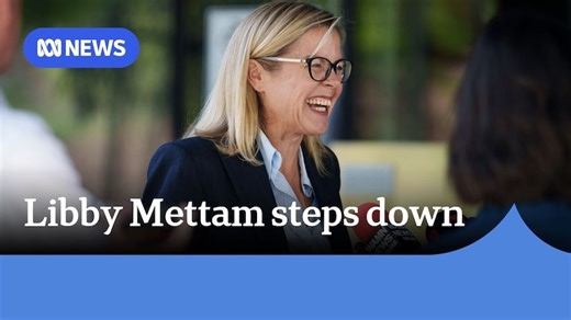 Libby Mettam quits as WA Liberal leader, Basil Zempilas to run