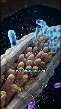 Que se passe-t-il vraiment dans ton corps quand tu manges des flocons d’avoine ?#corpshumain #santé