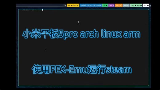 【技术向】把小米平板变成 Steam Deck：星露谷物语 PC 版实机演示