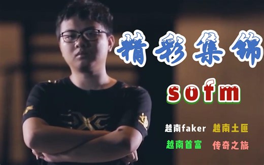 【精彩集锦 sofm】sofm生涯高光操作，你想要的