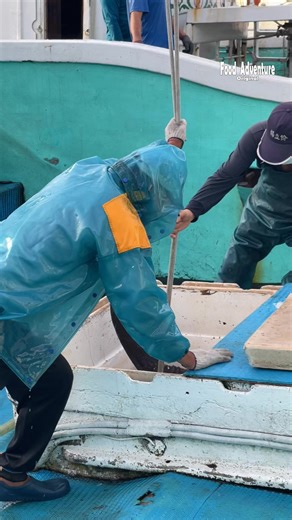 Lifting a 600lb giant bluefin tuna from the deep! #FishingLife #BigCatch #BluefinTuna #黑鮪魚 #OceanAdventure | Food Adventure