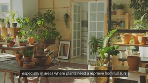 Garden Structures Partial Shade