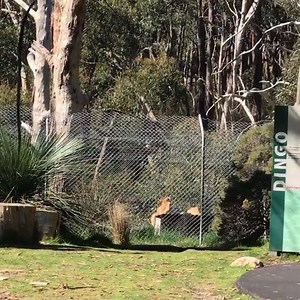 37K views · 531 reactions | Wait for it... Take a minute to listen...