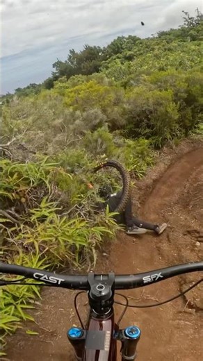 Trying to Keep up With Steve Peat and Brendan Fairclough