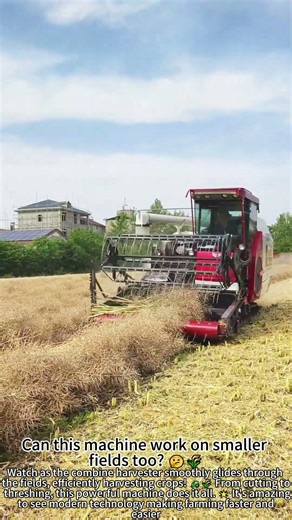 Harvesting Fields with a Combine Harvester 🚜🌾