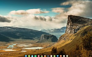 【Linux思维】terminal shell 打开查看文件