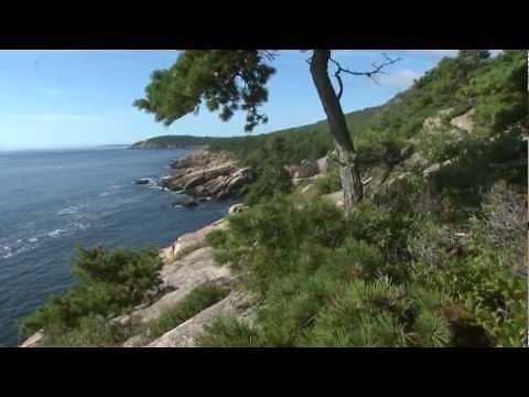 Bar Harbor Hotels ~ Acadia Inn in Bar Harbor