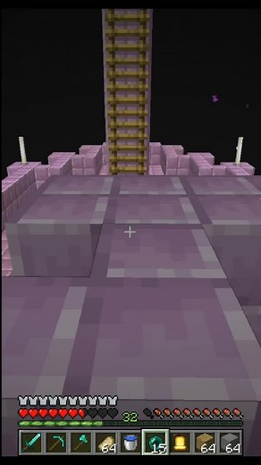 Exploring the Wandering Trader in Minecraft