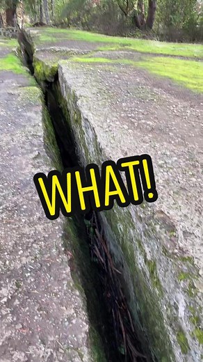 Exploring Nanaimo's Stunning Natural Wonders