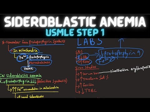 Sideroblastic Anemia | Pathology | USMLE Step 1