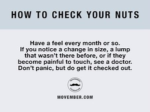 How well do you really know your nuts? Get up close and personal, give them a feel and take the time to get to know what's normal. http://mvmbr.co/2pZA6jF | Movember Ireland