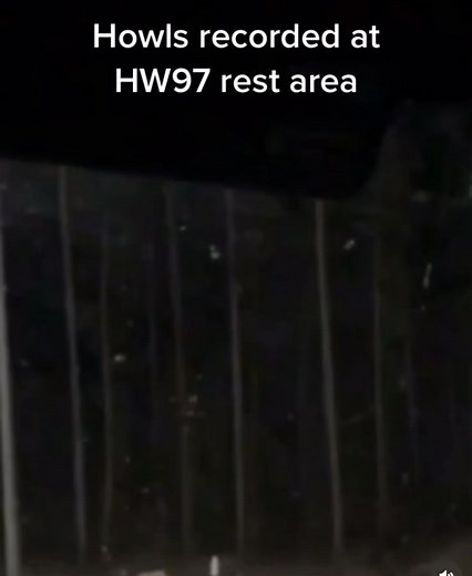 Howls recorded by trucker Danny at highway 97 at rest area. #bigfootisreal #bigfootsighting #foryoupage #foryou #sasquatch #bigfoot #cryptids #cryptidencounters #forestsounds #bigfootsounds #bigfootencounters