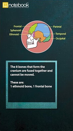 CBSE Class 6 Science – Chapter: Body Movements | Learn with Notebook | Fun & Easy Explanation!