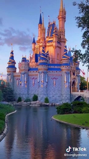 Serena at LivingByDisney on TikTok