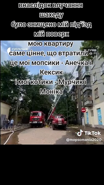 #моїмопсики #суми #вибух #умененемаєдому Суми 03.07.23