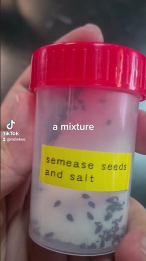 Filtration and Evaporation | Separation Techniques | Separating Mixtures | Science Lab Activity