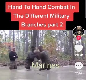 Hand To Hand Combat The Different Military Branches part 2 7026- - iFunny