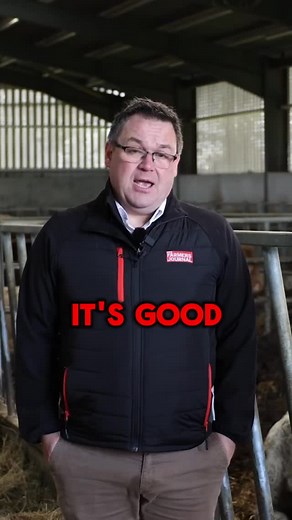 2.9K views · 356 reactions | Exclusive: Why did the Irish Farmers...