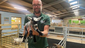 Behind the scenes at White Post Farm where ‘every day is different’