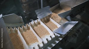 Modern food industry. Automatic machine for packing cereals.