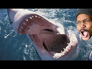 SHARK GLITCH KILL!? | The Forest Gameplay - Part Three