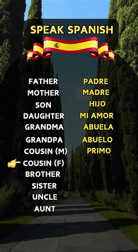 244K views · 6.7K reactions | Spanish for Beginners Follow us #spanish #español #spain #language | Spanish for Beginners | Facebook