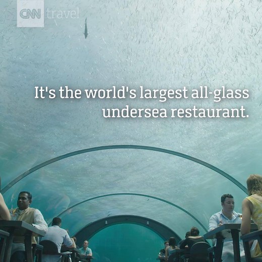 502K views · 4.2K reactions | From colorful parrot fish to moray eels...