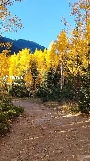 From my favorite hike this month. Forest Lakes trail in James Peak Wilderness. Sat at that alpine lake for over an hour and not a soul in sight. This is truly the best therapy. #Nature #Colorado #Hiker #Solo #Solitude #Therapy
